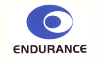 Endurance Company Logo